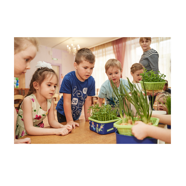 Обучающий комплект экологической направленности "Сити-фермер 2.0 Детский сад" на 30 человек VIP - «globural.ru» - Якутск