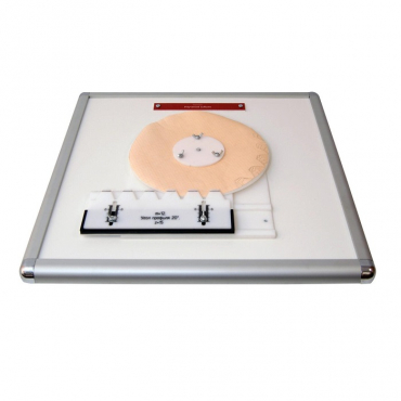 Комплекс "Изучение зубьев" - «globural.ru» - Якутск