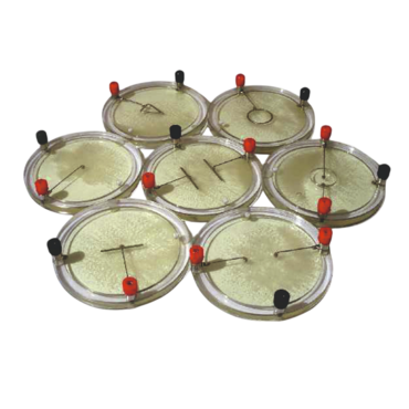 Демонстрационный комплект «Силовые линии электрического поля разных систем зарядов» - «globural.ru» - Якутск