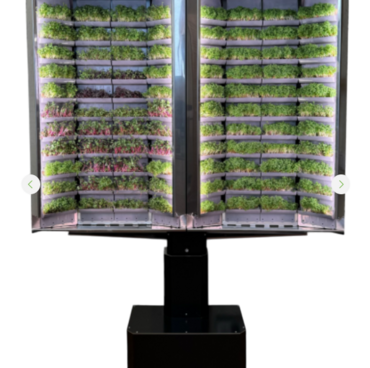 Вертикальная  ферма «Моя микрозелень» комплектация  «Театро настенная» - «globural.ru» - Якутск