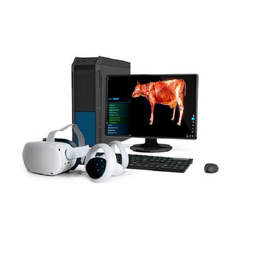 Интерактивный учебный комплекс «Анатомия Коровы» - «globural.ru» - Якутск