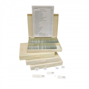 Комплект микропрепаратов по ботанике (профильный уровень) - «globural.ru» - Якутск