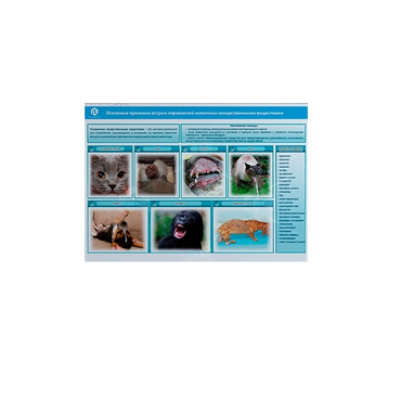 Стенд-планшет светодинамический «Острые отравления животных лекарственными препаратами» - «globural.ru» - Якутск