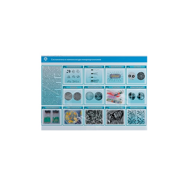 Стенд-планшет светодинамический «Изучение систематики и номенклатуры микроорганизмов» - «globural.ru» - Якутск